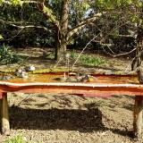 photo 2021-04-12 09-53-09