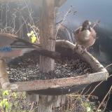 photo 2019-12-25 09-16-31