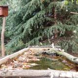 photo 2023-10-08 11-38-35