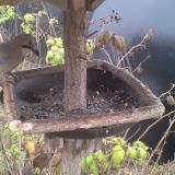 photo 2019-12-12 12-56-04