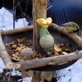 photo 2019-01-14 11-44-01