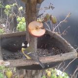 photo 2019-12-05 11-51-01