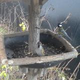 photo 2019-12-26 09-28-19