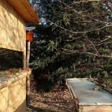 photo 2022-01-13 10-07-14