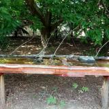 photo 2021-07-24 14-48-58