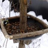 photo 2019-01-08 11-13-35