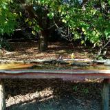 photo 2021-10-04 15-51-45