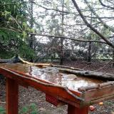 photo 2022-03-31 16-14-38