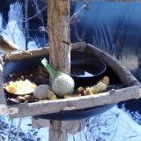 photo 2019-01-21 12-07-34