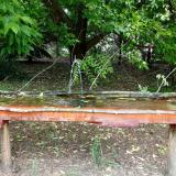 photo 2021-05-25 11-55-00