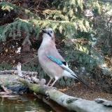 photo 2023-10-22 16-06-16