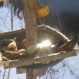 photo 2019-01-27 10-10-20