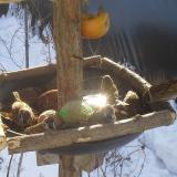 photo 2019-01-27 10-09-29