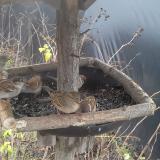 photo 2019-12-25 11-15-39