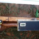 photo 2021-03-01 09-16-26