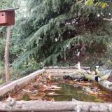 photo 2023-10-09 15-23-01