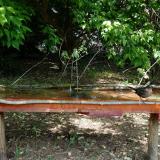 photo 2021-05-15 10-48-21