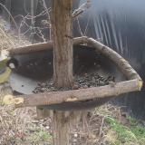 photo 2019-03-14 09-43-07