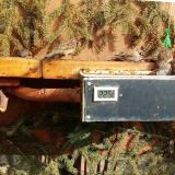 photo 2021-02-24 13-02-03