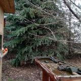 photo 2021-12-16 13-10-23