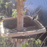 photo 2019-12-15 10-24-35