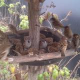 photo 2019-12-07 13-38-32