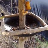 photo 2019-02-08 11-19-21