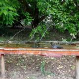 photo 2021-05-25 10-36-13