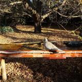 photo 2021-10-25 09-14-12