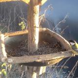 photo 2019-12-27 15-10-58