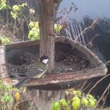 photo 2019-12-14 10-07-02