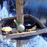 photo 2019-01-21 12-07-47