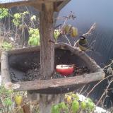 photo 2019-12-06 09-58-50