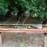 photo 2021-07-12 10-23-08