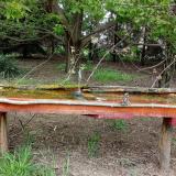 photo 2021-04-28 10-36-57