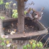 photo 2019-12-09 14-16-46