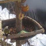 photo 2019-01-31 10-26-17