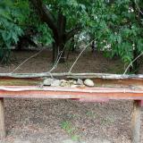 photo 2021-07-14 14-16-32