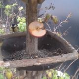 photo 2019-12-05 14-26-18