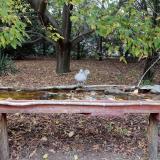 photo 2021-10-12 16-54-09