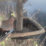 photo 2019-12-25 14-33-30