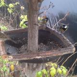 photo 2019-12-14 11-19-31