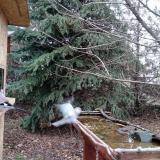 photo 2021-12-11 12-40-45