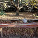 photo 2021-10-22 08-43-18