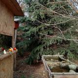 photo 2021-12-18 13-47-56