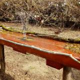 photo 2021-03-30 10-41-34