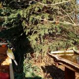 photo 2021-11-12 13-20-01