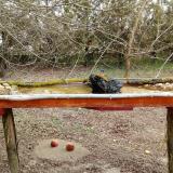 photo 2021-03-12 10-32-35