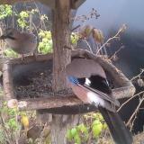 photo 2019-12-12 12-58-31