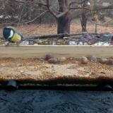 photo 2021-11-10 10-05-56